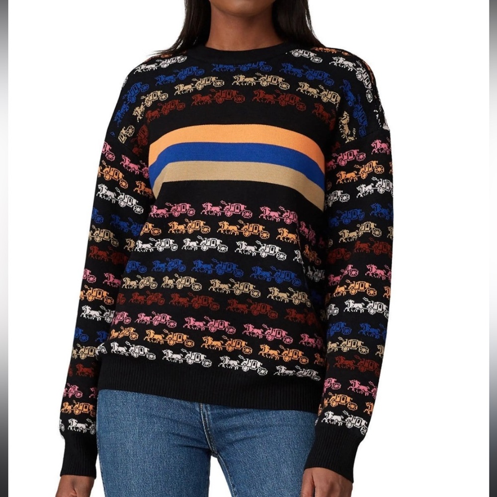Coach Multicolor Wool Sweater